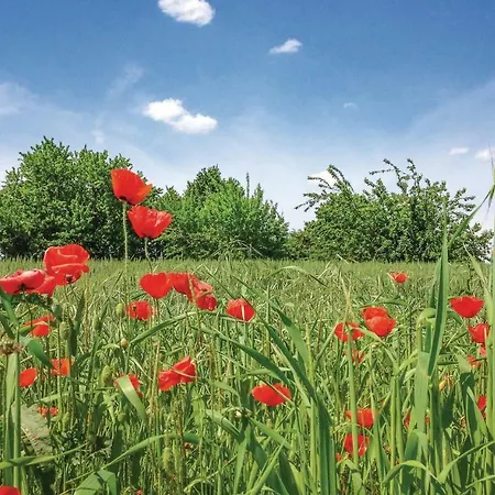 Ferienhaus Beautiful In Al